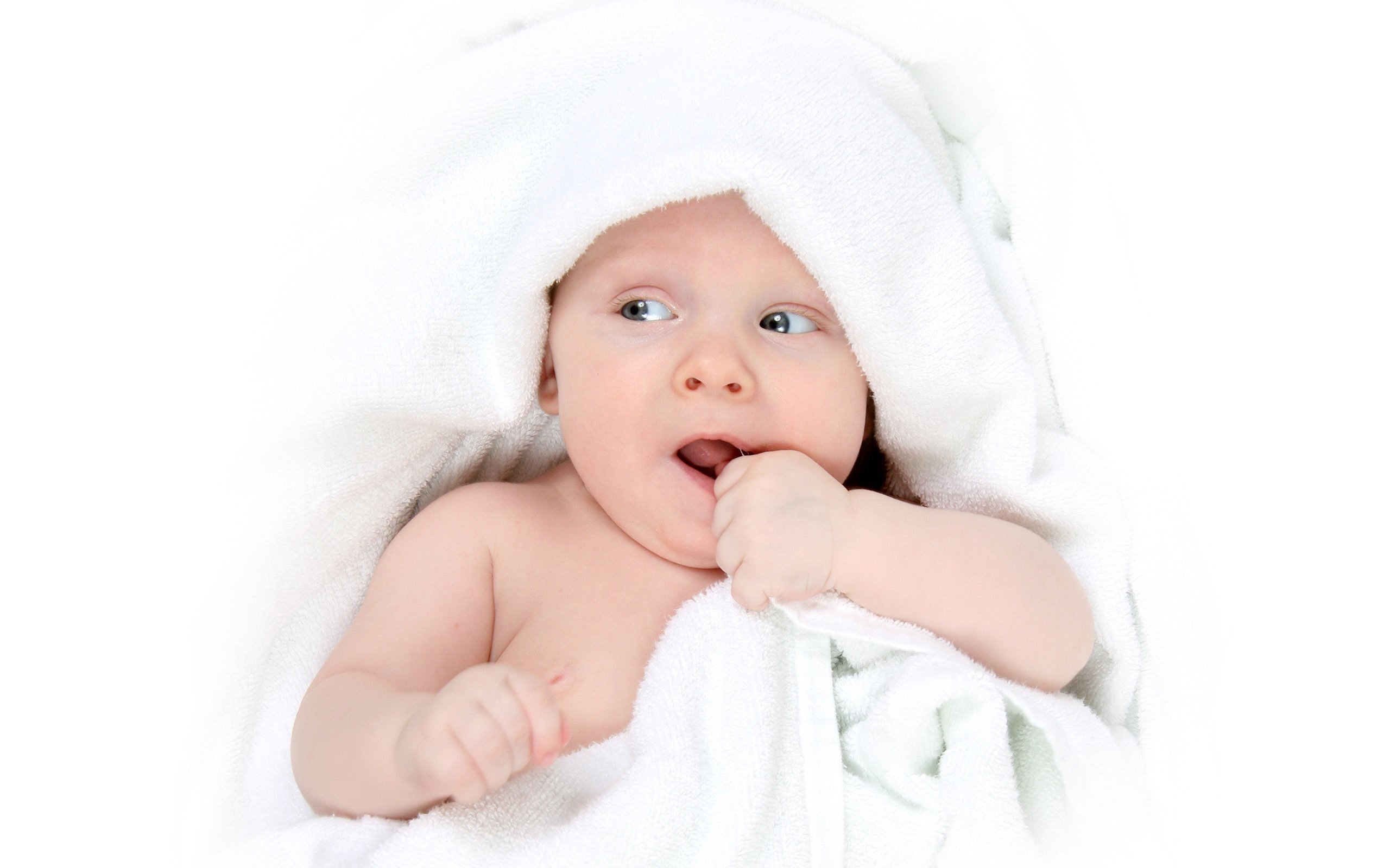 江门助孕供卵多囊卵巢试管婴儿成功率